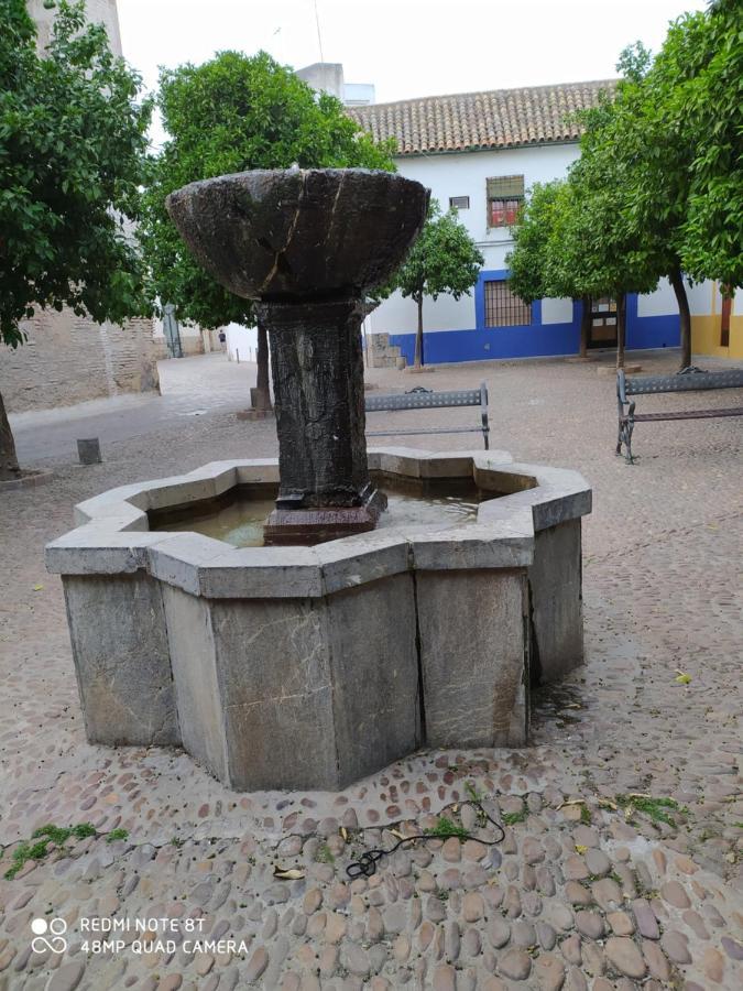 Alojamiento Casa Tipica De Córdoba Exteriör bild