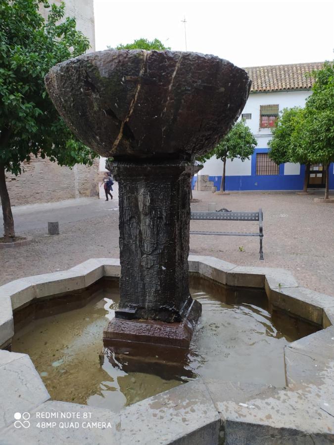 Alojamiento Casa Tipica De Córdoba Exteriör bild