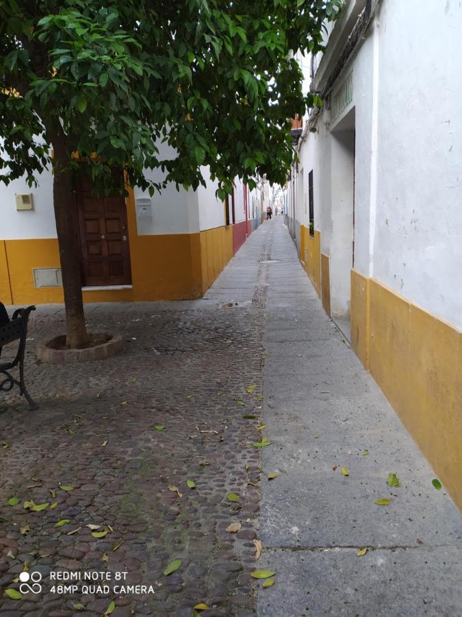 Alojamiento Casa Tipica De Córdoba Exteriör bild