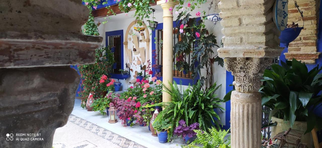 Alojamiento Casa Tipica De Córdoba Exteriör bild