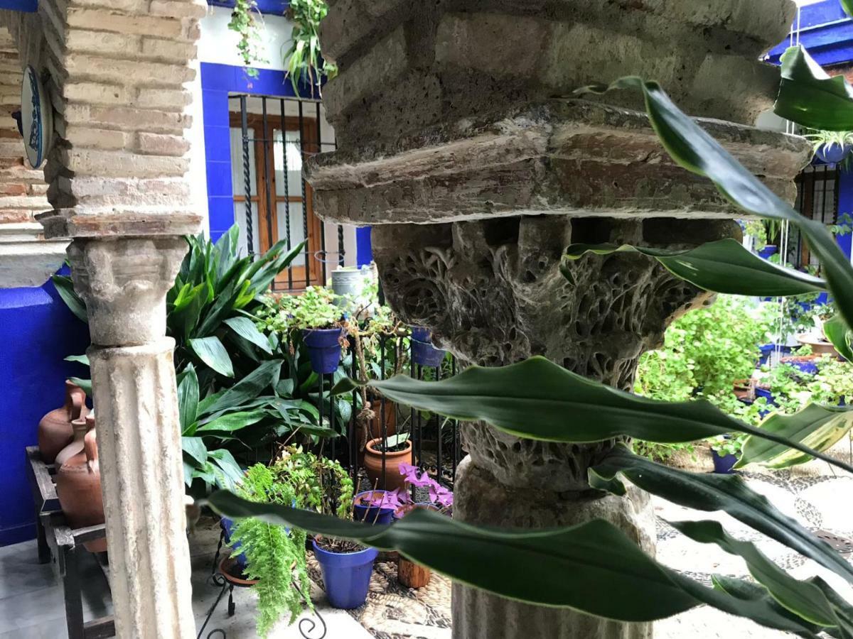Alojamiento Casa Tipica De Córdoba Exteriör bild